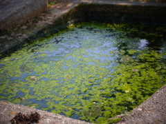 R0011238