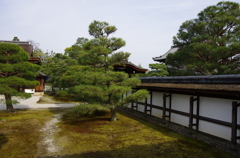IMGP6691