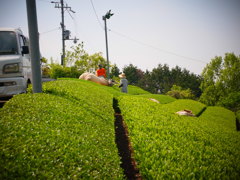 R0011251