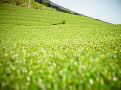 R0011279