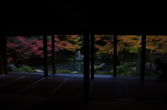 池泉観賞式庭園