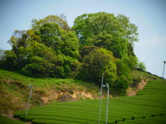 R0011306