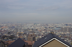 IMGP6356