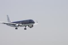 IMGP2507
