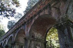 DP1M0169