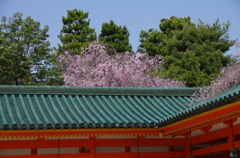 IMGP6532
