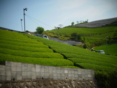 R0011199
