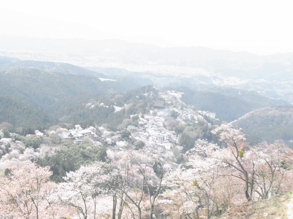 春の吉野山