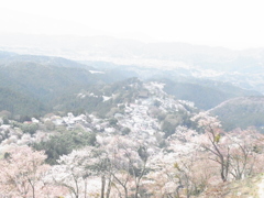 春の吉野山