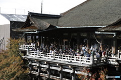 DP3M0329
