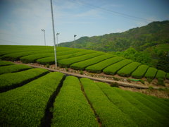 R0011168