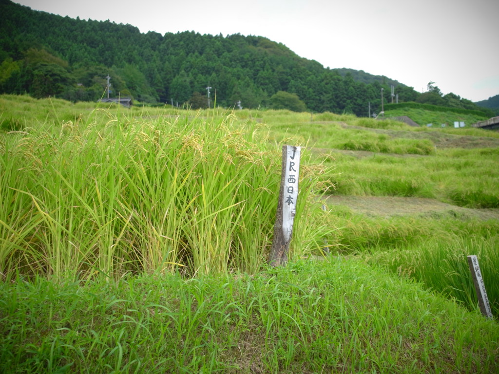 R0012556