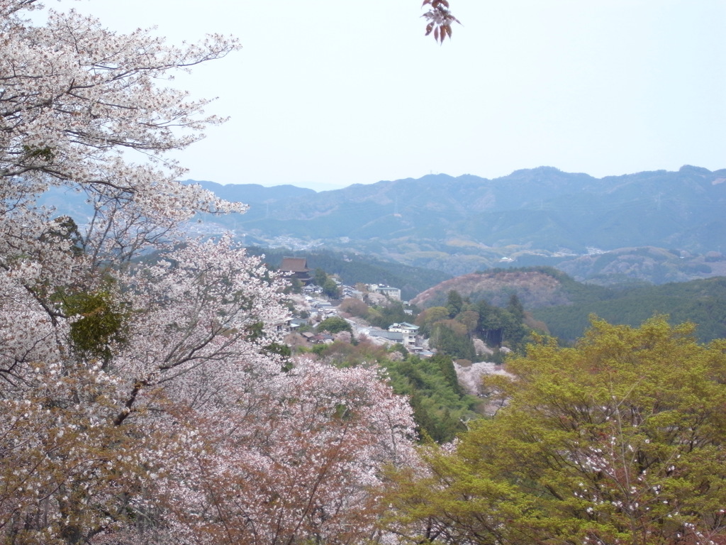 吉野山の春