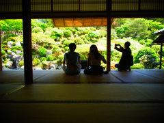 そうだ京都、行こう