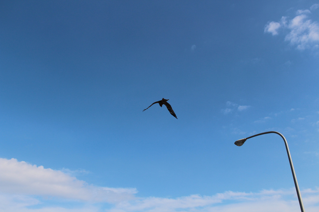 空