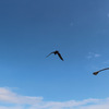 空