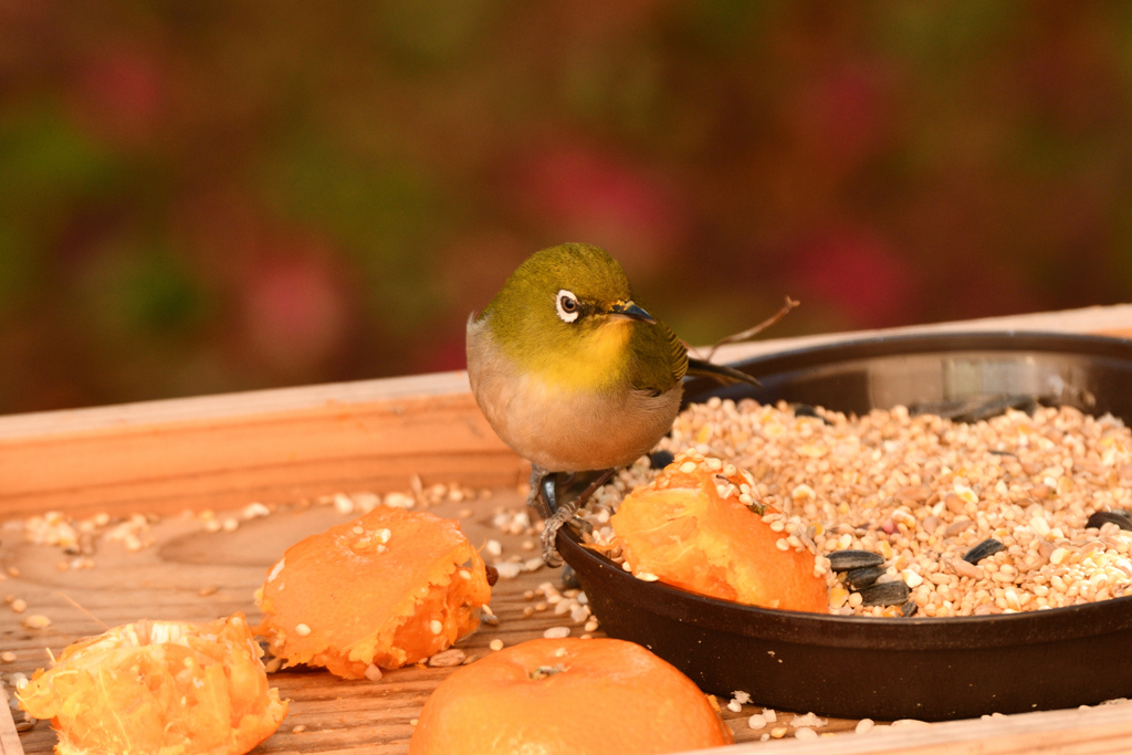 きれいに食べてね