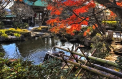 秋の鎌倉