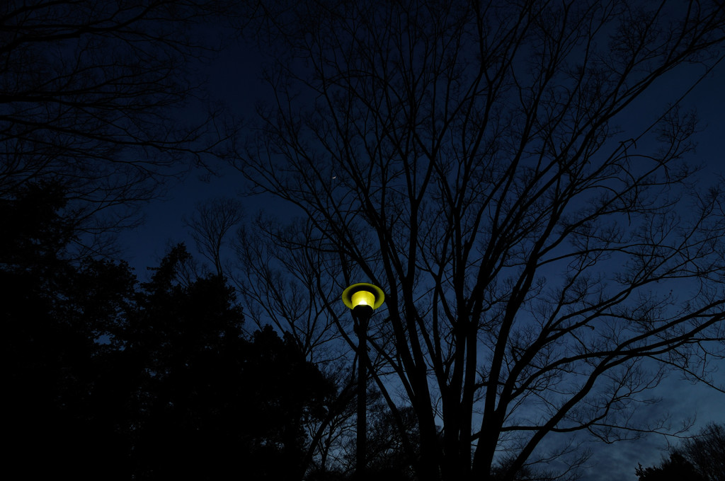 夜