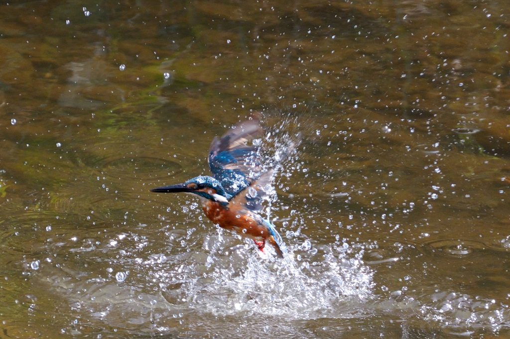 飛沫