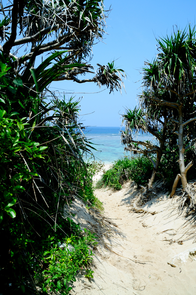 into the beach