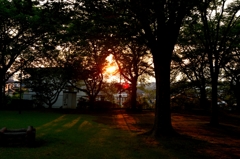 公園の夕日