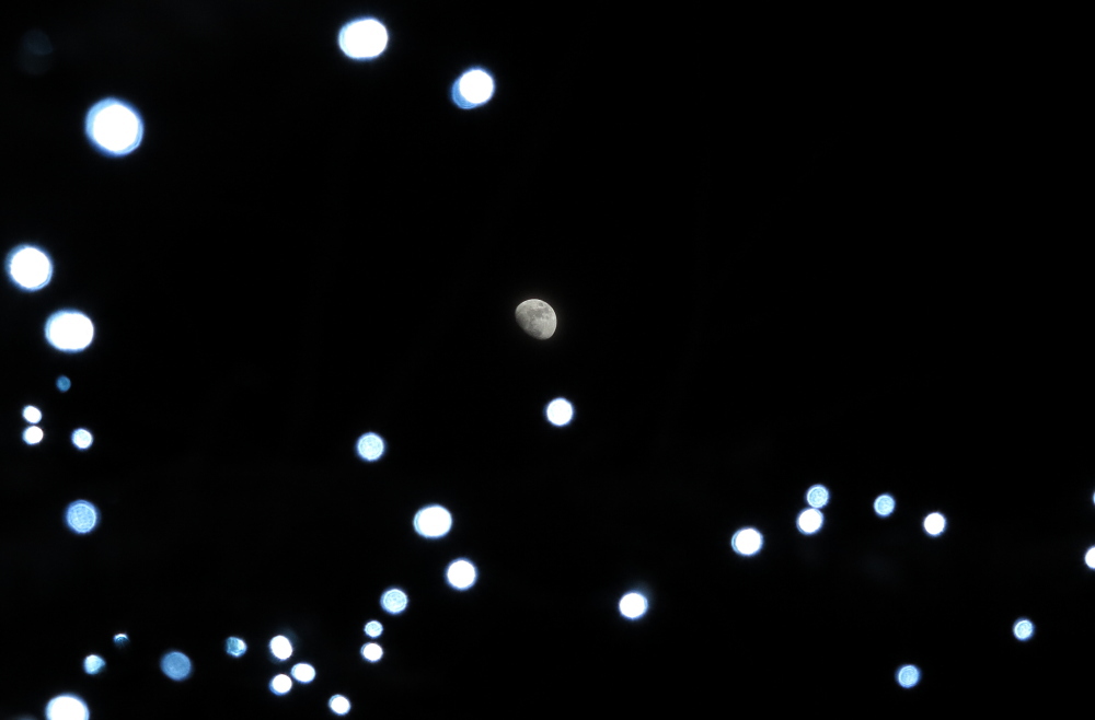 ウォーリーを探せ！