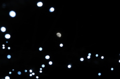 ウォーリーを探せ！