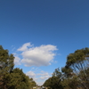 現代版、坂の上の雲