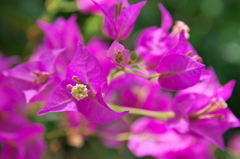 こっち向いて笑って。