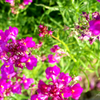 P1070141