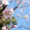 こっち向いて笑って