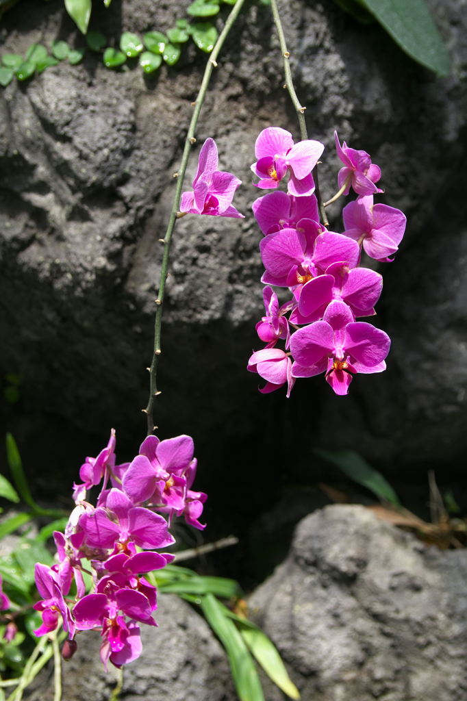 ずいぶん下がってきたな〜あ