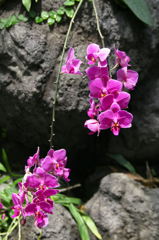 ずいぶん下がってきたな〜あ