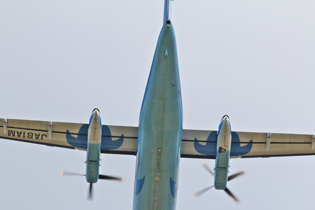 こんなトコにも くまモン