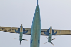 こんなトコにも くまモン