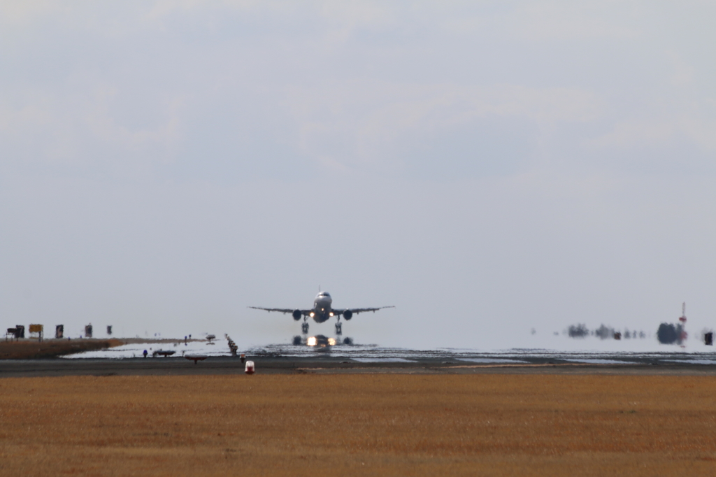 んっ、離水、着水！？