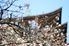 IMG_1088