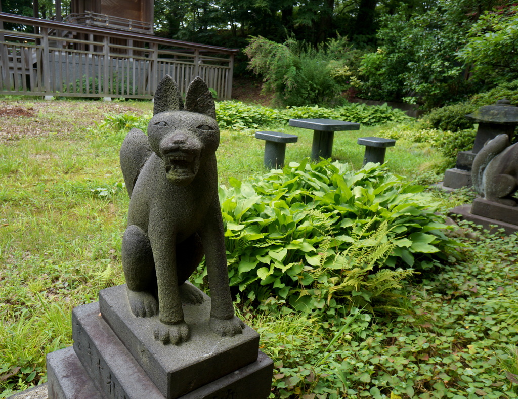 2014北東北（秋田市内）