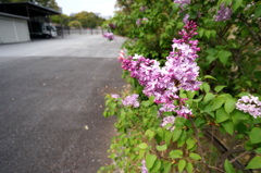 皇居見学の旅〜♪