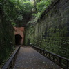 6/8、猿島