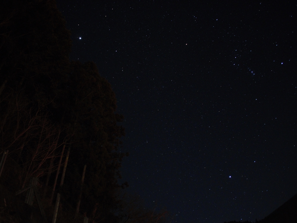 初めての星空