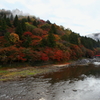 DPP_5447