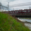 SDIM0313