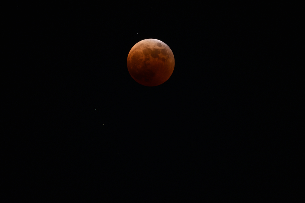 DSC_3556