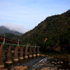 DPP_5453