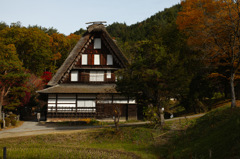 SDIM0050