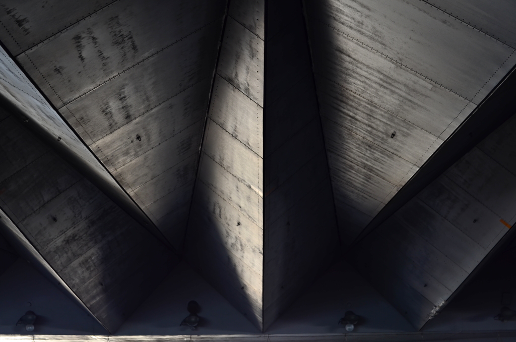DSC_8762