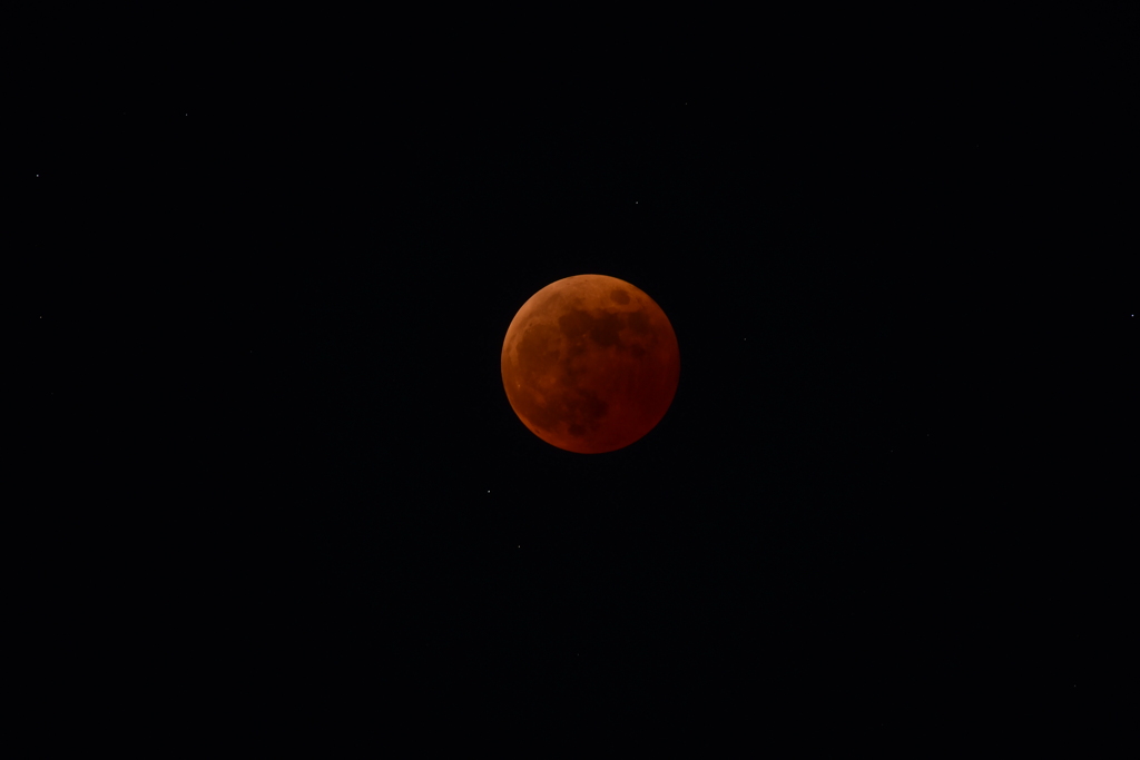 DSC_3591