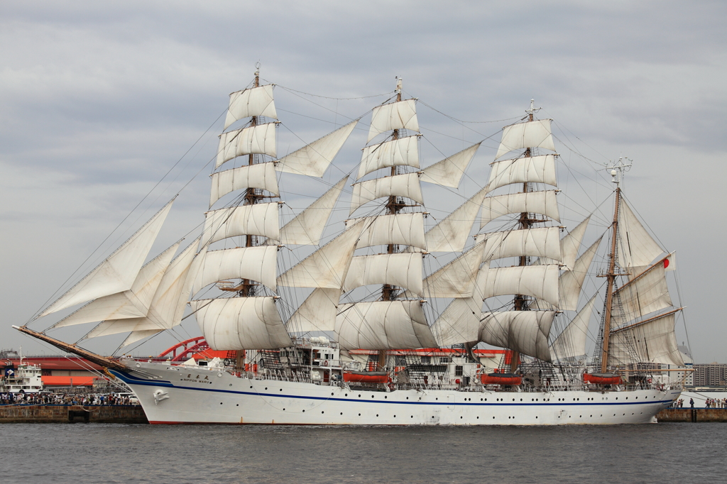 DPP_5165
